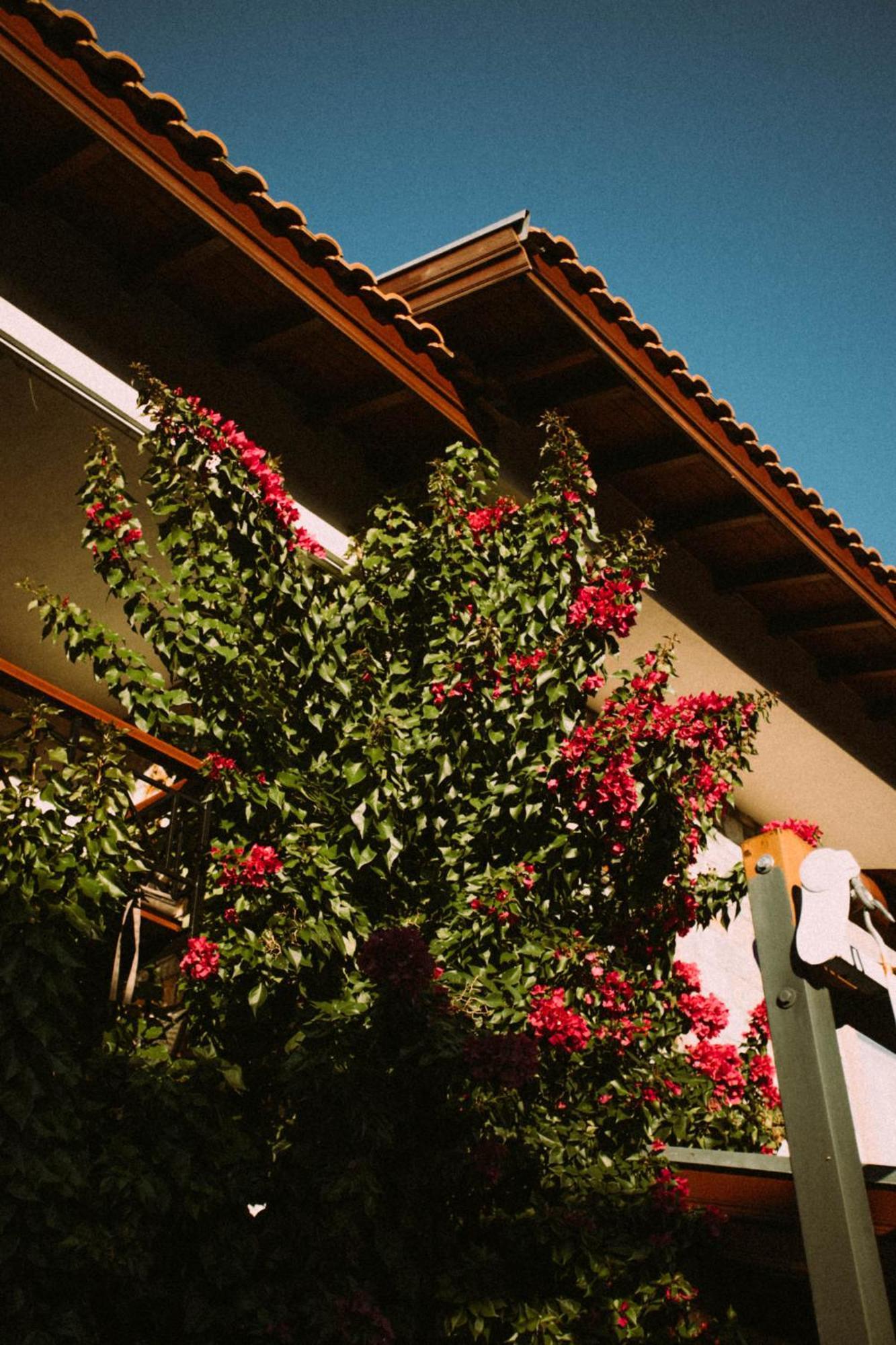Vira Apart Suites Göcek Exterior foto